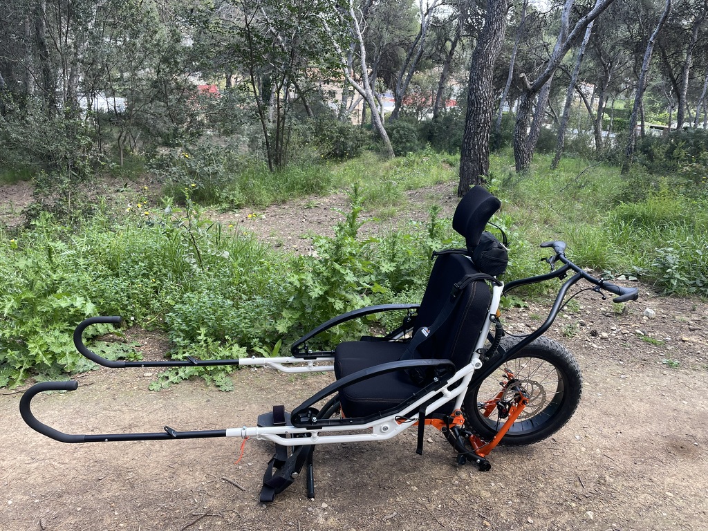 La preparación del estudiantado es esencial para que futuros profesionales dispongan de los recursos necesarios para atender con calidad y profesionalidad a personas con discapacidad.