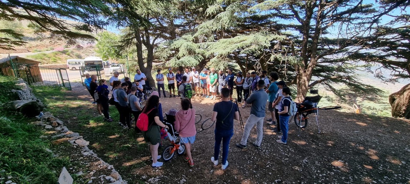 Promovemos la sensibilización hacia la discapacidad mediante formaciones que incluyen rutas inclusivas reales y la organización de jornadas y eventos abiertos a la sociedad.